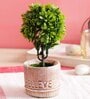 Green Polyester Artificial Bonsai Plant With Grey Resin Pot