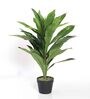 Polyester Green Dracaena Dragon With Pot Artificial Plants