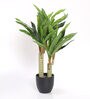 Polyester Lauren Green Dracaena With Pot Artificial Plant