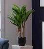 Polyester Lauren Green Dracaena With Pot Artificial Plant