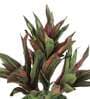 Green Polyester Artificial Dracaena Plant Without Pot
