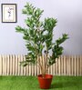 Green Polyester Artificial Draceana Plant Without Pot