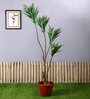 Green Polyester Artificial Draceana Plant Without Pot