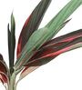 Green Polyester Artificial Draceana Plant Without Pot