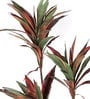 Green Polyester Artificial Draceana Plant Without Pot