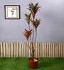 Green Polyester Artificial Draceana Plant Without Pot