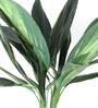 Green Polyester Artificial Draceana Plant Without Pot