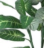 Green Polyester Artificial Elephant Ear Plant Without Pot