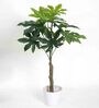 Polyester Green Fatsia Without Pot Artificial Plants
