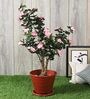 Green Polyester Artificial Flower Without Pot