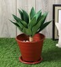 Green Polyester Artificial Foxtail Plant Without Pot