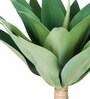 Green Polyester Artificial Foxtail Plant Without Pot