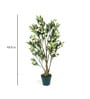 Green Polyester Artificial Frangipani Plant With Pot