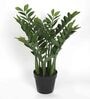 Polyester Green Large Emerald Palm With Pot Artificial Plants