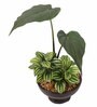 Green Polyester Artificial Monstera Bonsai Plant With Brown Ceramic Pot