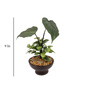 Green Polyester Artificial Monstera Bonsai Plant With Brown Ceramic Pot