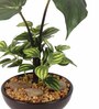 Green Polyester Artificial Monstera Bonsai Plant With Brown Ceramic Pot