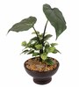 Green Polyester Artificial Monstera Bonsai Plant With Brown Ceramic Pot