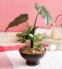 Green Polyester Artificial Monstera Bonsai Plant With Brown Ceramic Pot