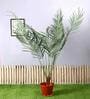 Green Polyester Artificial Palm Plant Without Pot