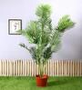 Green Polyester Artificial Palm Plant Without Pot