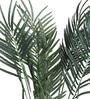 Green Polyester Artificial Palm Plant Without Pot