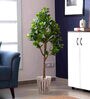 Green Polyester Artificial Peperomia Plant with Pot
