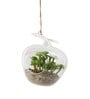 Green Polyester Artificial Plant With Glass Pot