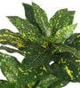 Green Polyester Artificial Plant With pot