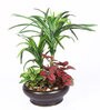 Green Polyester Artificial Plant With pot