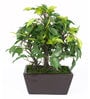 Polyester Phoebe Green With Pot Artificial Plant
