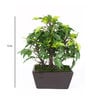 Polyester Phoebe Green With Pot Artificial Plant