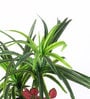 Green Polyester Artificial Plant With pot