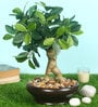 Green Polyester Artificial Plant With pot