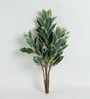 Green Polyester Artificial Quercus Plant