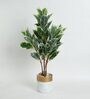Green Polyester Artificial Quercus Plant