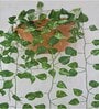 Polyester Green Small Leaves Pothos Creeper Without Pot Artificial Plants
