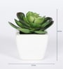 Green Polyester Artificial Succulent Bonsai with Ceramic Pot