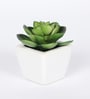 Green Polyester Artificial Succulent Bonsai with Ceramic Pot