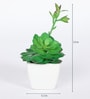 Green Polyester Artificial Succulent Bonsai with Ceramic Pot