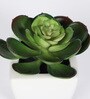 Green Polyester Artificial Succulent Bonsai with Ceramic Pot