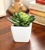 Green Polyester Artificial Succulent Bonsai with Ceramic Pot