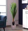 Polyester Green Tropical Dracaena Without Pot Artificial Plants