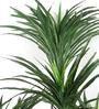 Polyester Olive Green Yucca Without Pot Artificial Plant