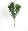 Polyester Green Zebra With Medium Leaves Without Pot Artificial Plants