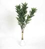 Polyester Green Zebra With Medium Leaves Without Pot Artificial Plants