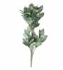 Green Polyester Artificial Zebra Plant Without Pot