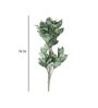 Green Polyester Artificial Zebra Plant Without Pot