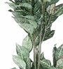 Green Polyester Artificial Zebra Plant Without Pot