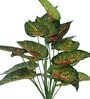 Green Polyester Beautiful Artificial Money Plant with Big Leaves without Pot, Set of 2